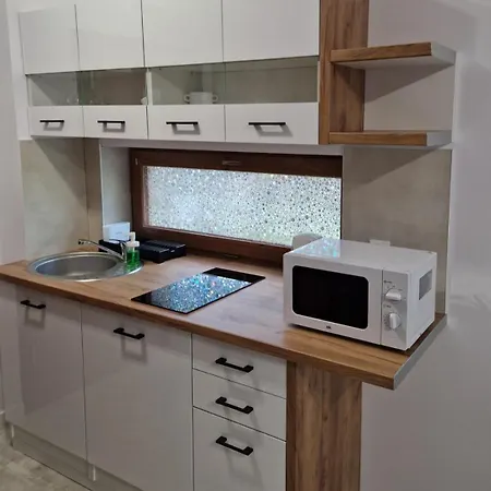 10 Z Ogrodem Apartment *